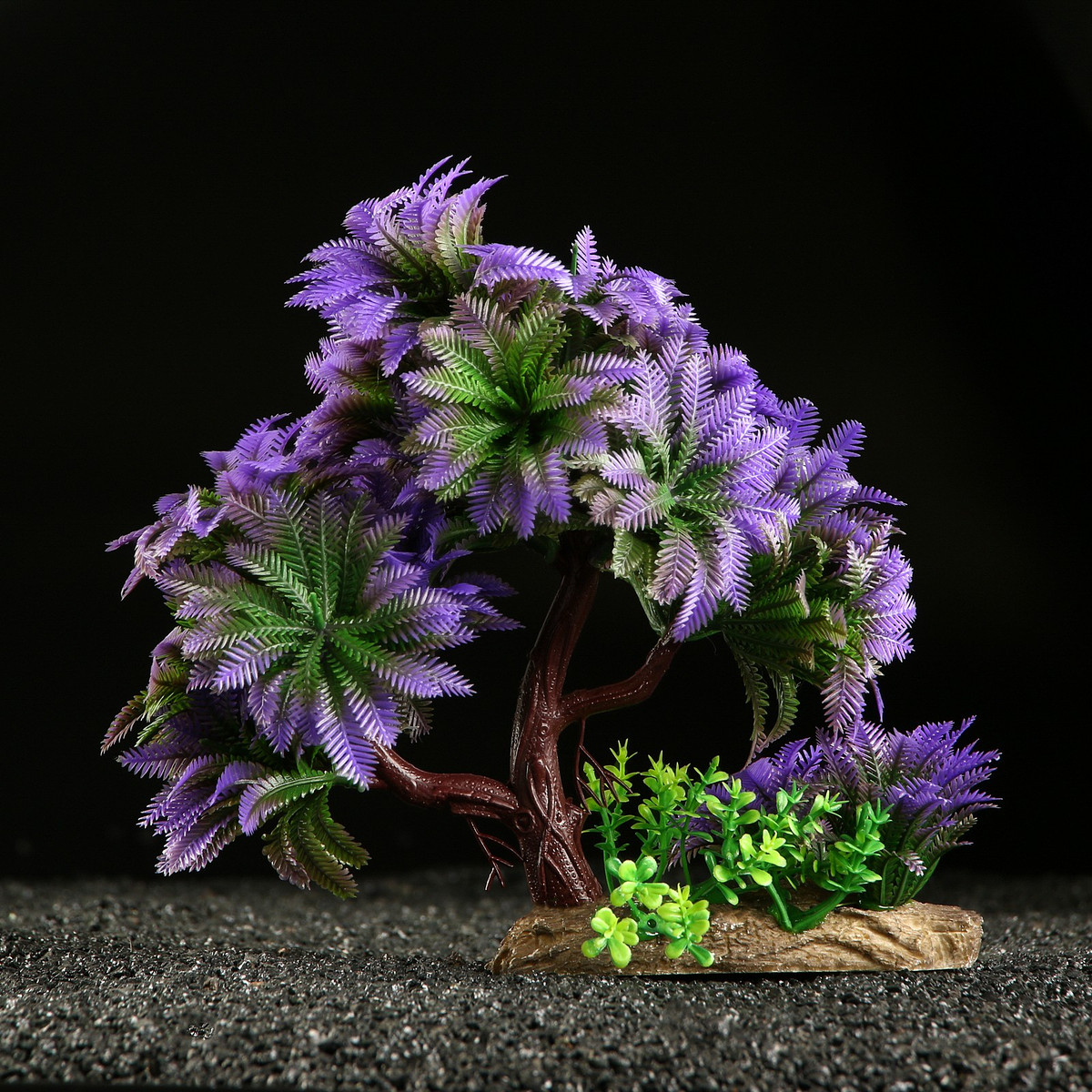 Растение для аквариума и террариума, 11×21 см, Фиолетовый;разноцветный
Растение для аквариума и террариума, 11×21 см, Фиолетовый;разноцветный