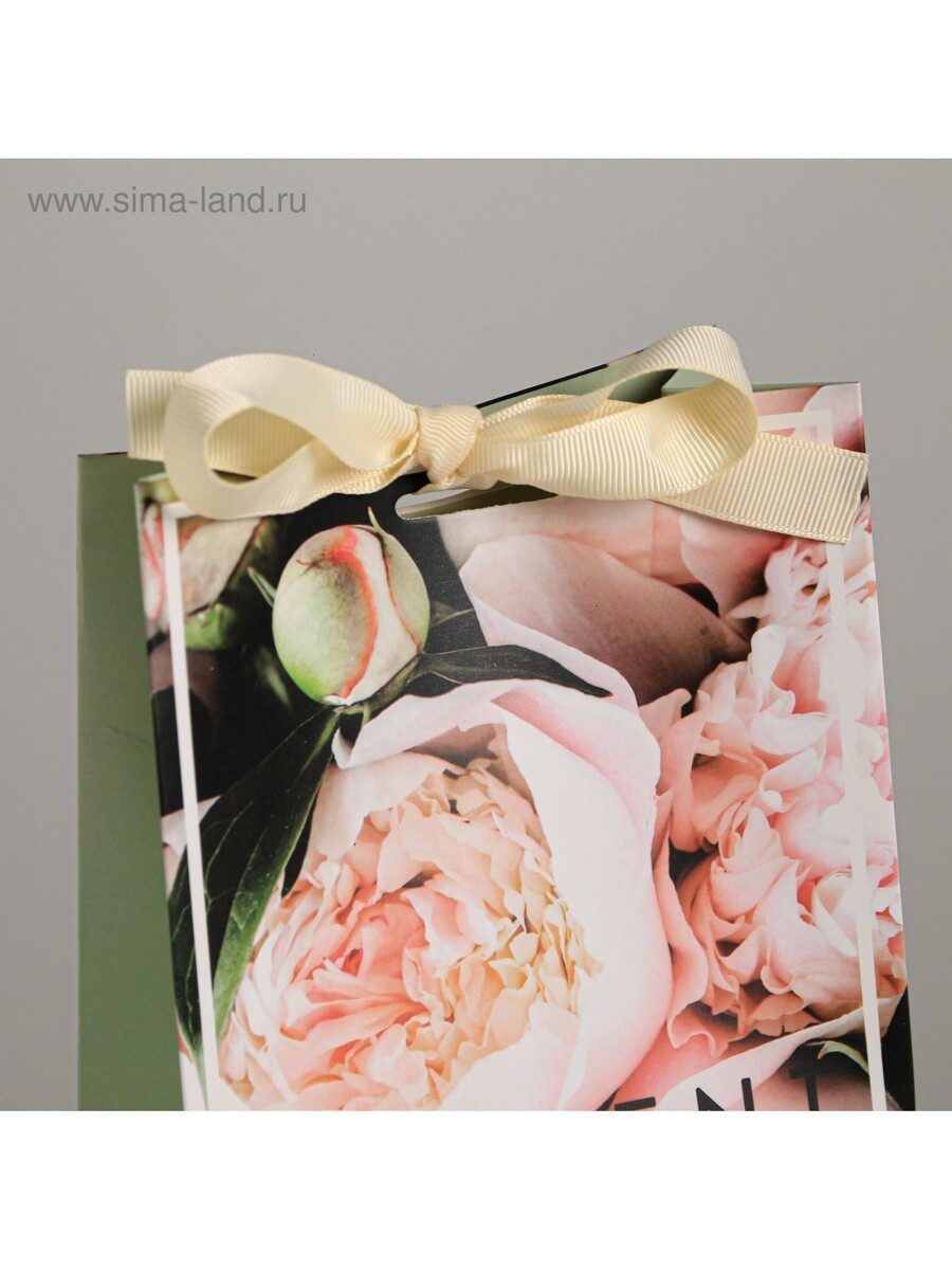 Пакет подарочный с лентой, упаковка, present for you, 13 х 23 х 7 см, Розовый;зеленый
Пакет подарочный с лентой, упаковка, present for you, 13 х 23 х 7 см, Розовый;зеленый