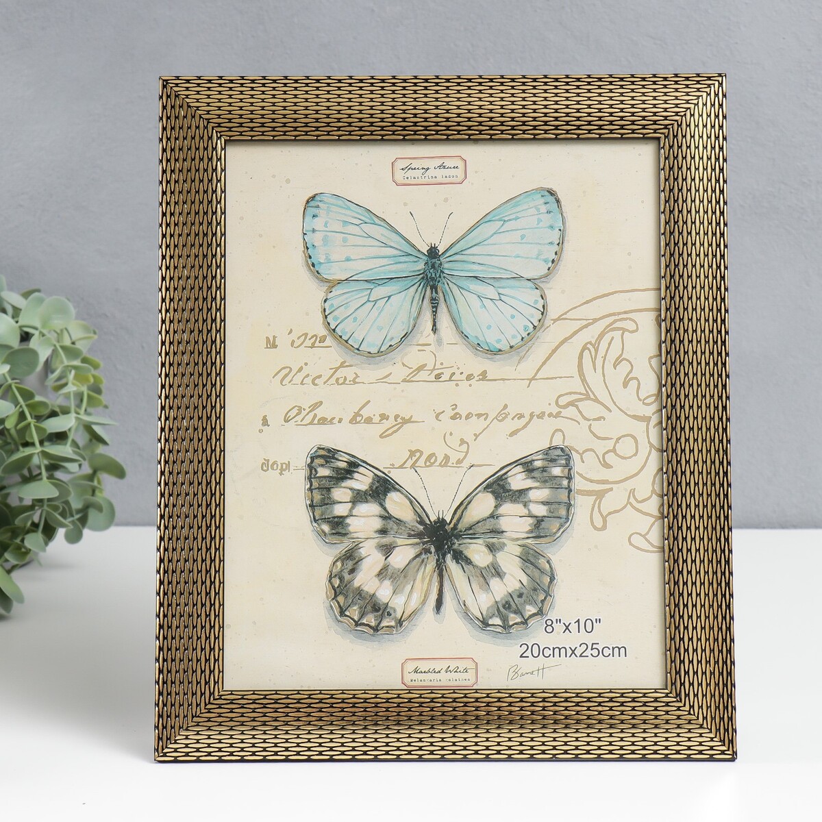 Фоторамка пластик 20х25 см, Золотистый 
Фоторамка пластик 20х25 см, Золотистый