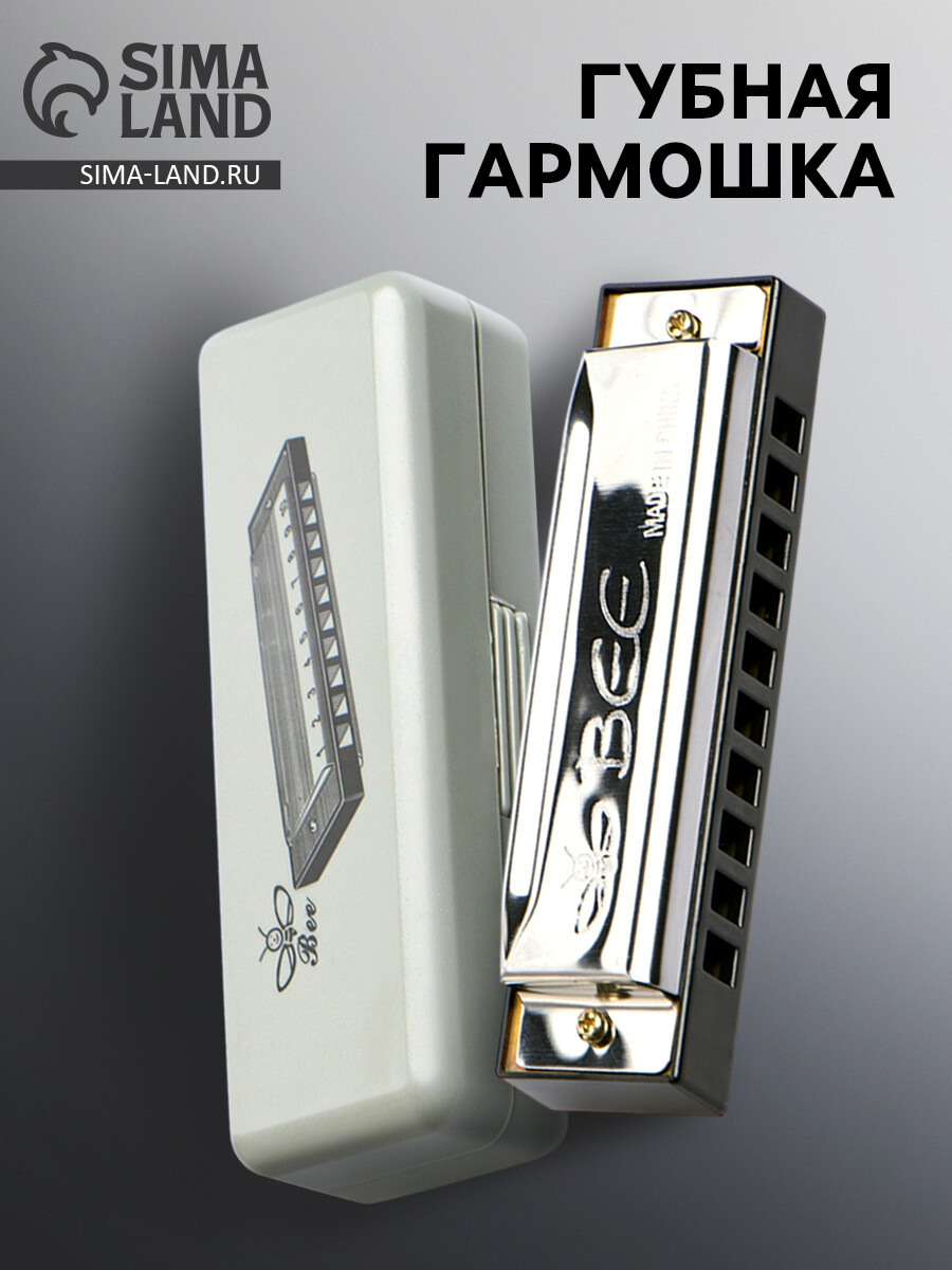 Губная гармошка, диатоническая, 10 отверстий, c-major, с футляром, серебристая, Серебристый
Губная гармошка, диатоническая, 10 отверстий, c-major, с футляром, серебристая, Серебристый