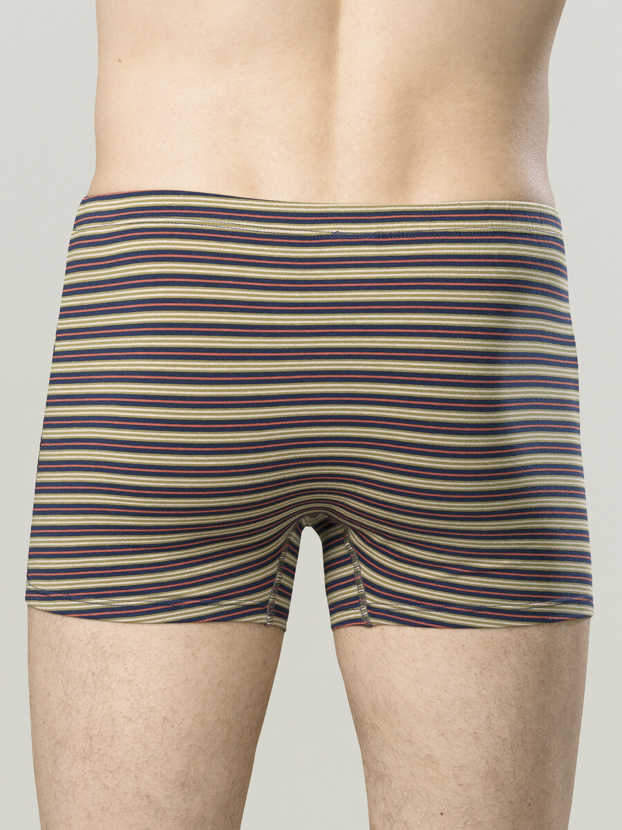 фото Трусы pelican