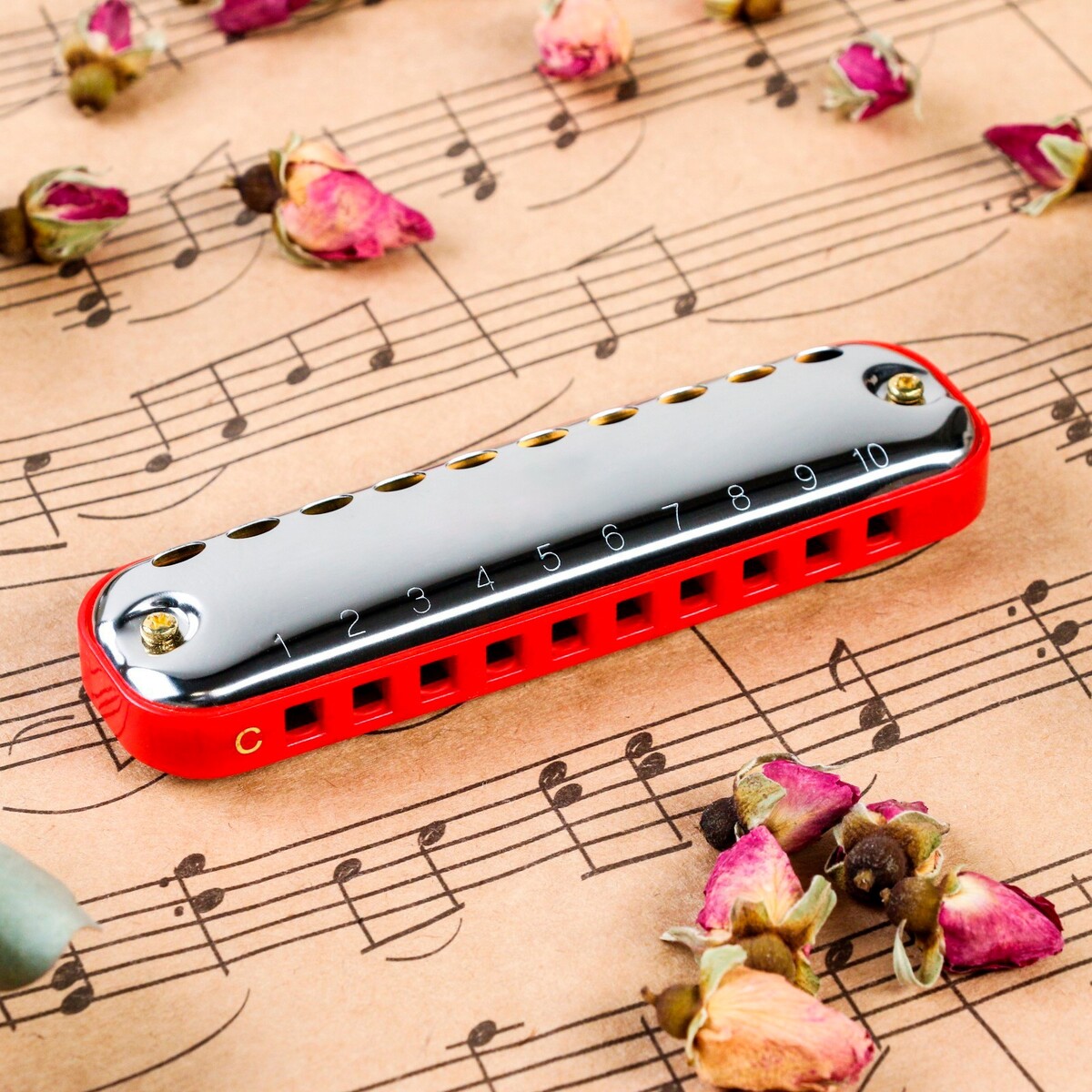 Губная гармошка music life t10-1 c red comb диатоническая, 10 отверстий, с футляром, красная, Красный
Губная гармошка music life t10-1 c red comb диатоническая, 10 отверстий, с футляром, красная, Красный