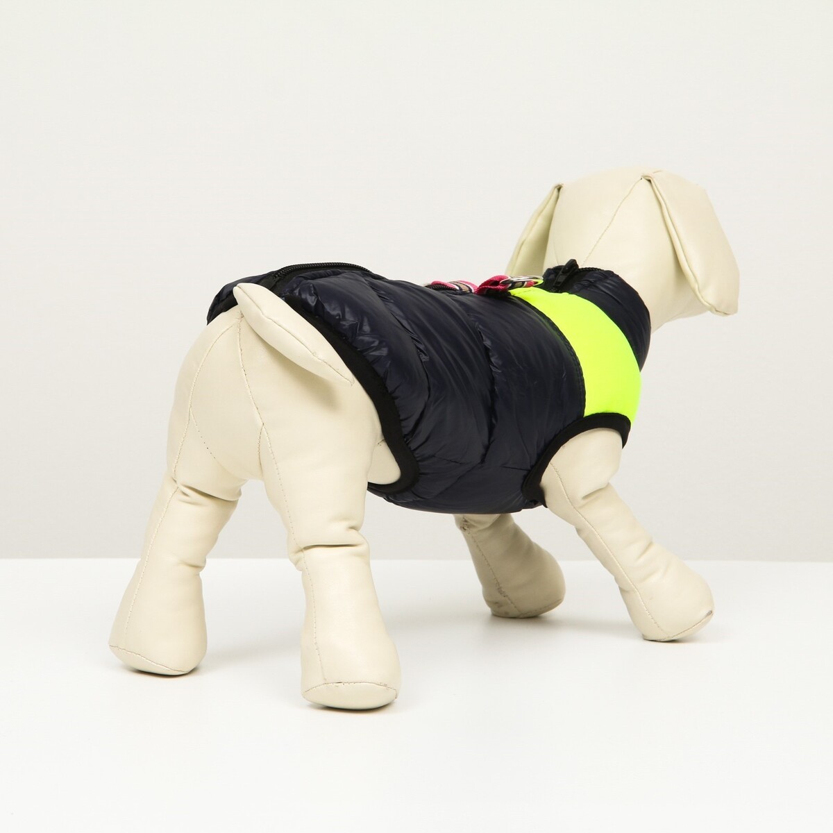 фото Куртка для собак на молнии, размер 8 (дс 23 см, ог 30, ош 22 см), синяя с желтым no brand