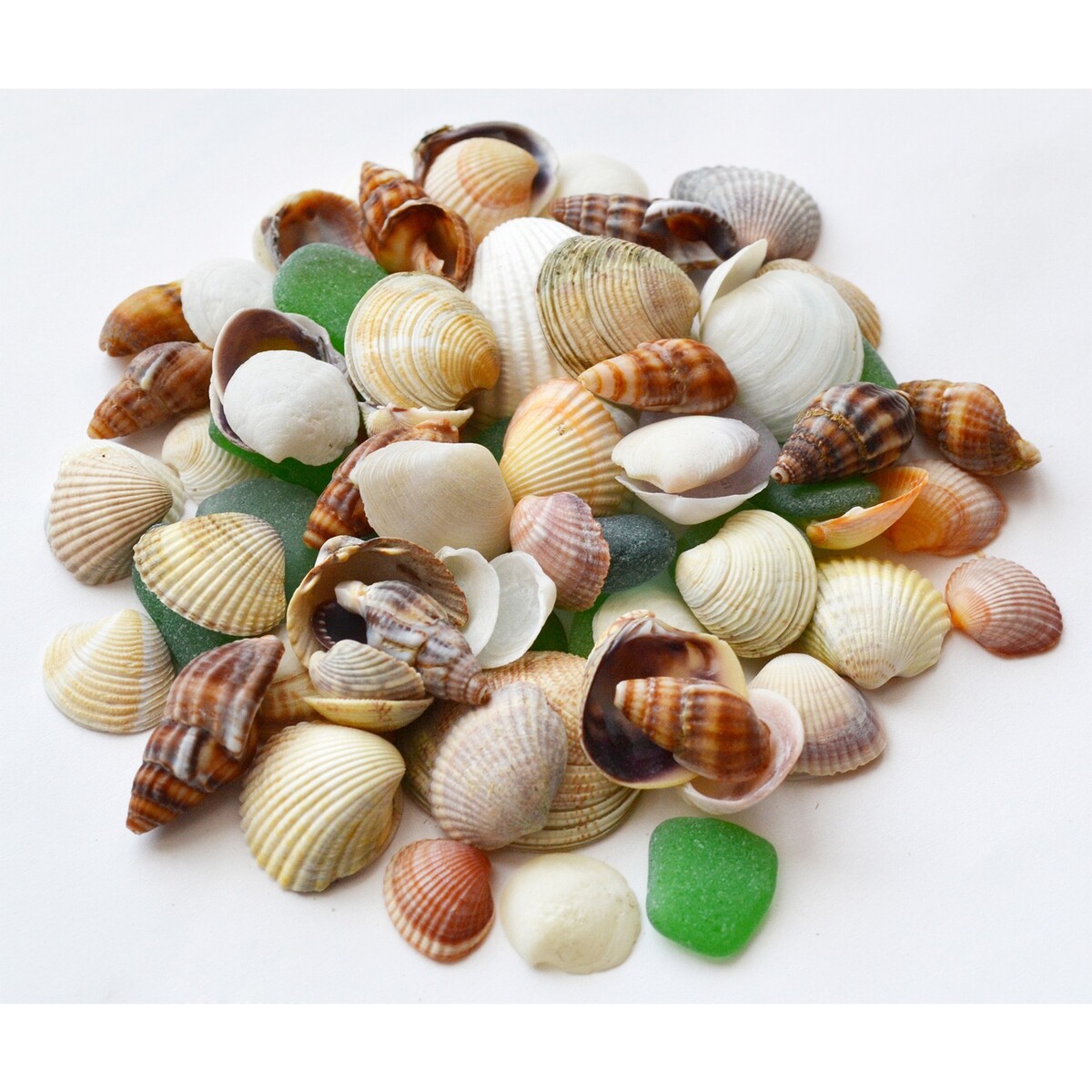 Набор для творчества из ракушек, 50 г, Бежевый;белый;коричневый 
Набор для творчества из ракушек, 50 г, Бежевый;белый;коричневый