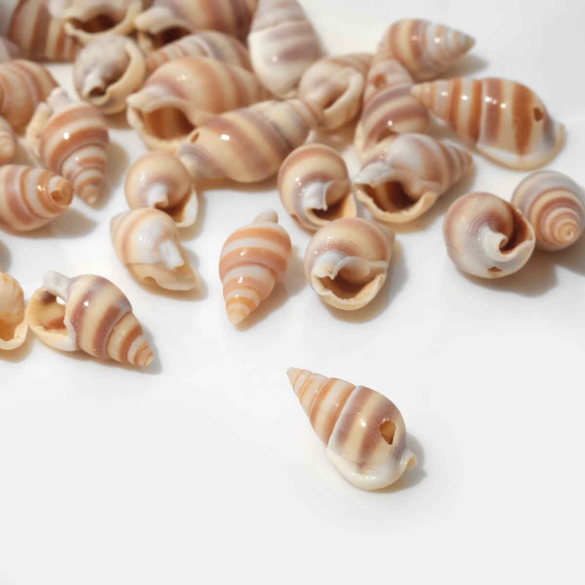 Бусины, Коричневый
Бусины, Коричневый