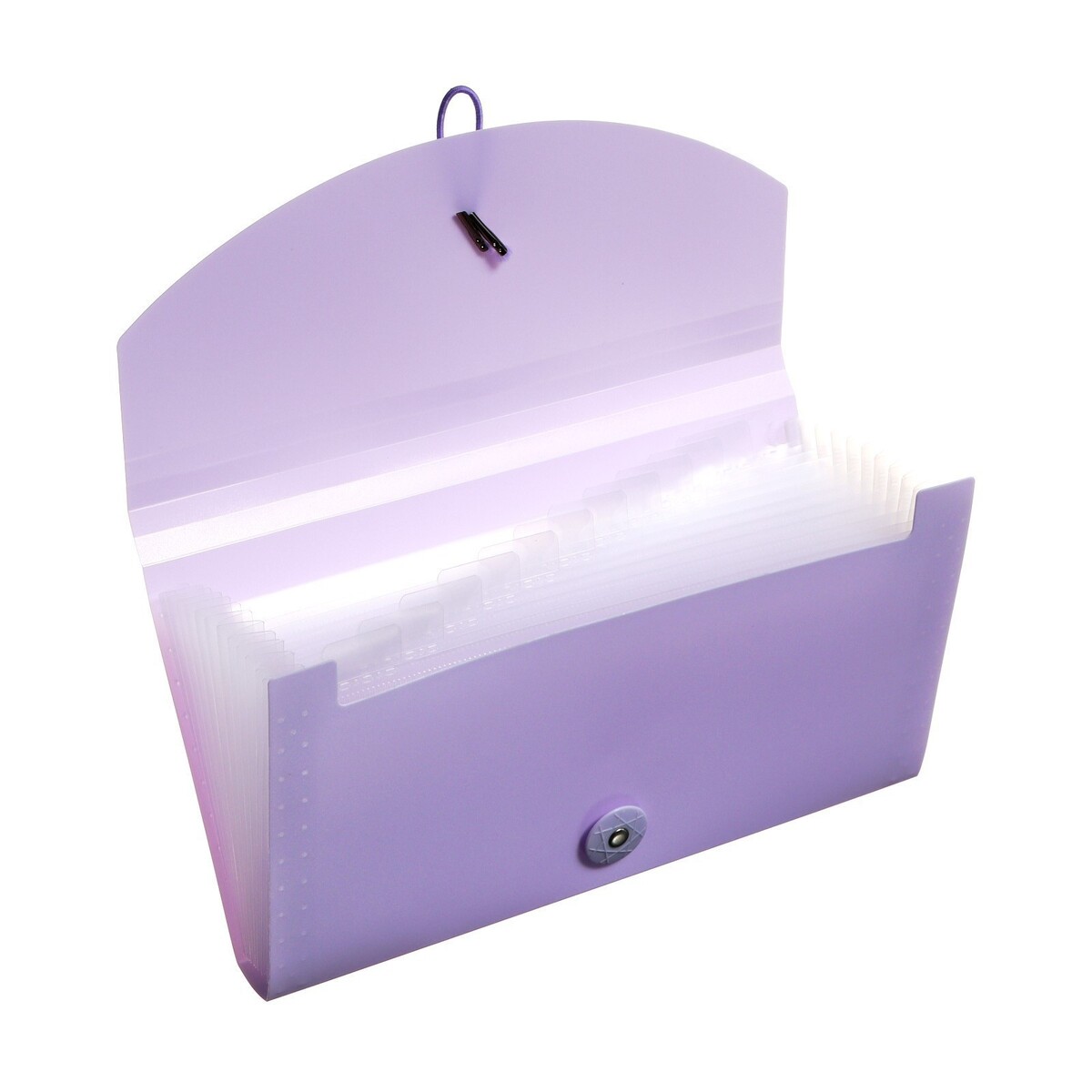 фото Папка на резинке а65, 12 отделений, фиолетовая пастель calligrata