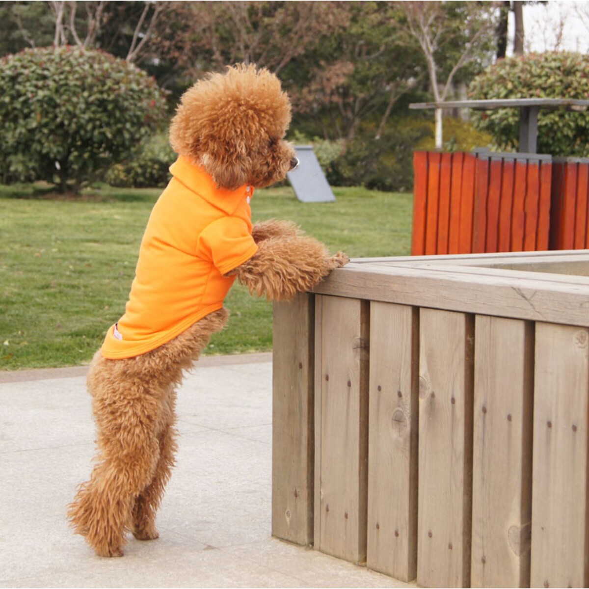 фото Футболка-поло для животных, l (дс 35, ог 45, ош 30 см), оранжевая no brand