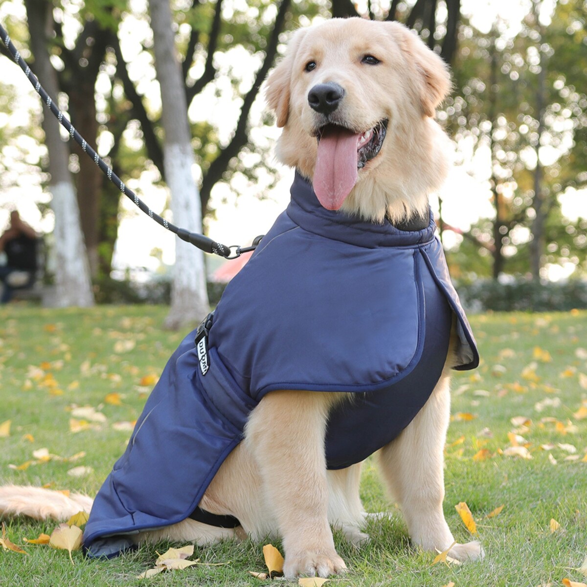 фото Попона для больших собак, мембранная ткань, размер 3xl (дс 51, ош 50, ог 67-75 см), синяя no brand