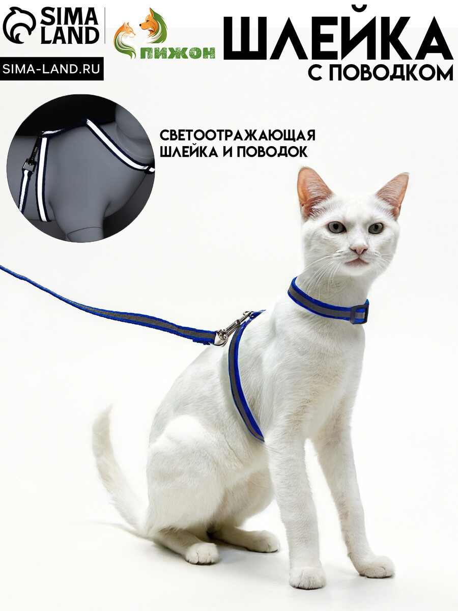 Комплект для кошек светоотражающий,ширина 1 см,шлейка 21-35 см,поводок 120 см, синий
Комплект для кошек светоотражающий,ширина 1 см,шлейка 21-35 см,поводок 120 см, синий