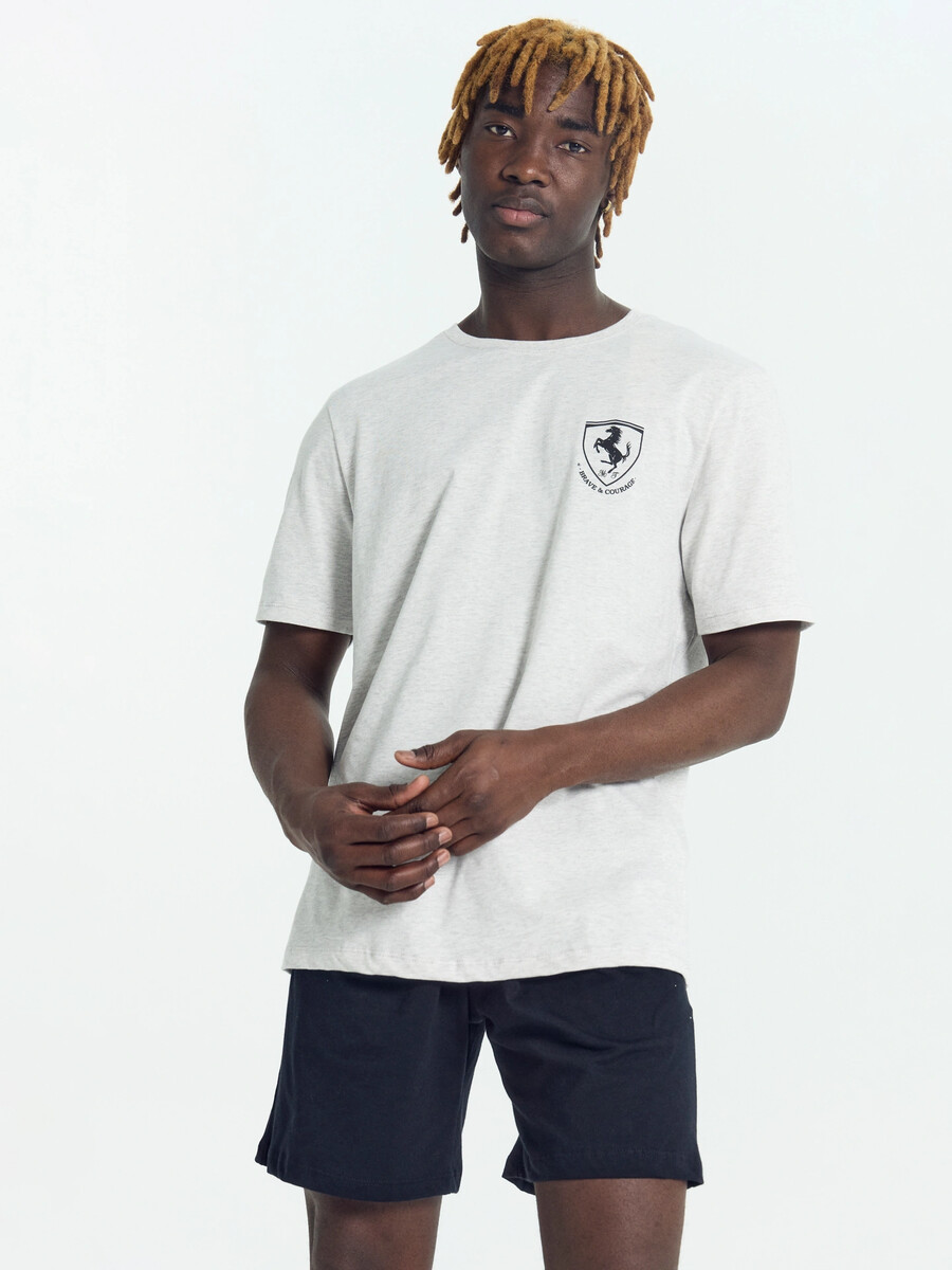 

Комплект мужской (футболка, шорты), Серый;черный;серый меланж 4306-а +черный +печать
