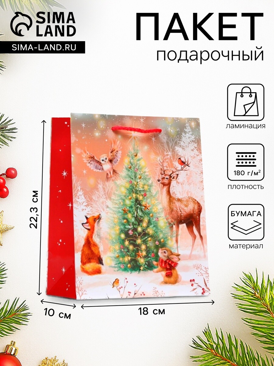 Пакет подарочный новогодний ламинированный, Бежевый;разноцветный;красный
Пакет подарочный новогодний ламинированный, Бежевый;разноцветный;красный