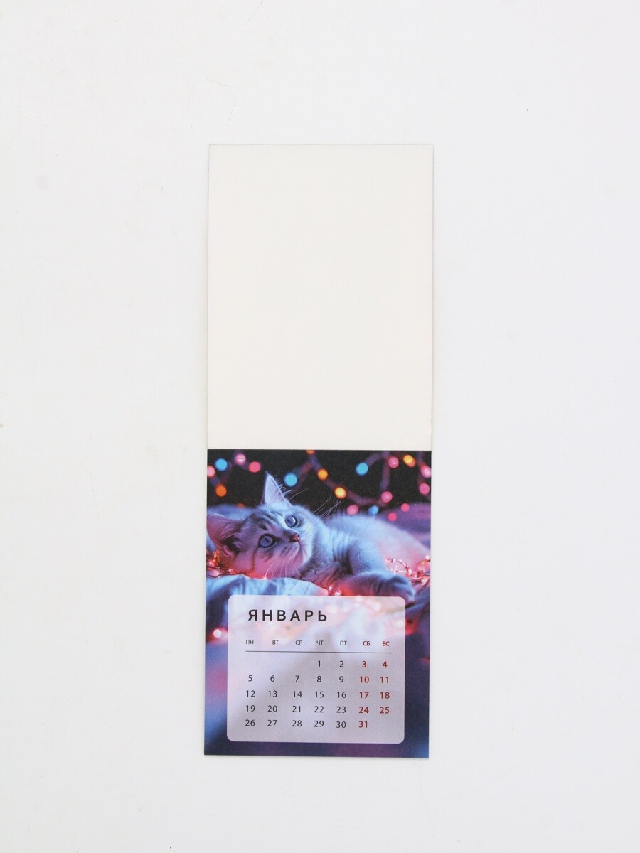 Календарь 2026 отрывной на магните
Календарь 2026 отрывной на магните