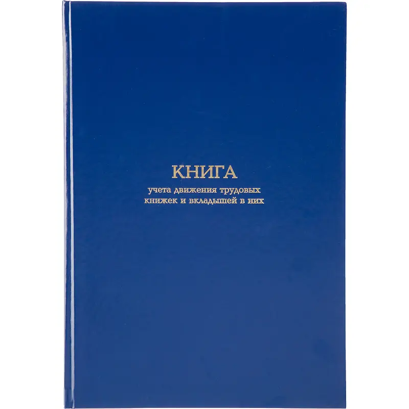 Книга учета движения трудовых книжек и вкладышей в них Attache А4 96 листов обложка бумвинил крепление на сшивку
Книга учета движения трудовых книжек и вкладышей в них Attache А4 96 листов обложка бумвинил крепление на сшивку