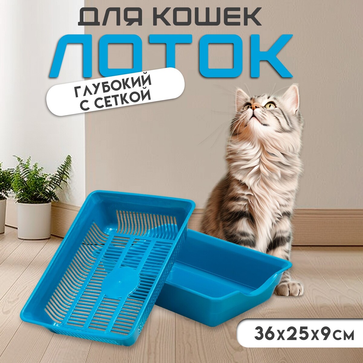 Туалет для кошек, 36×25×9 см, глубокий, с сеткой, пластик, синий
Туалет для кошек, 36×25×9 см, глубокий, с сеткой, пластик, синий