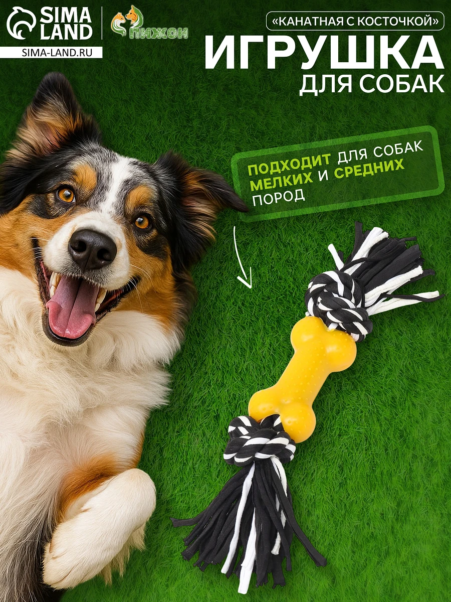 Игрушка канатная, с косточкой, до 25 см, до 105 г, черная, желтая, Желтый;черный
Игрушка канатная, с косточкой, до 25 см, до 105 г, черная, желтая, Желтый;черный