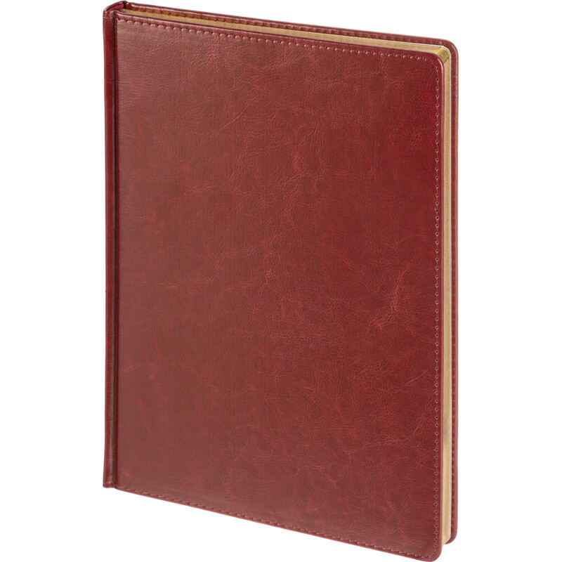 Ежедневник недатированный Attache Sidney Nebraska искусственная кожа А4 136 листов бордовый
Ежедневник недатированный Attache Sidney Nebraska искусственная кожа А4 136 листов бордовый