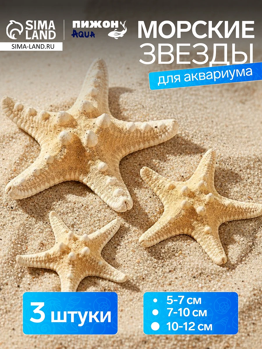 Набор из 3 морских звезд, размер 5-7 см, 7-10 см, 10-12 см, белый
Набор из 3 морских звезд, размер 5-7 см, 7-10 см, 10-12 см, белый
