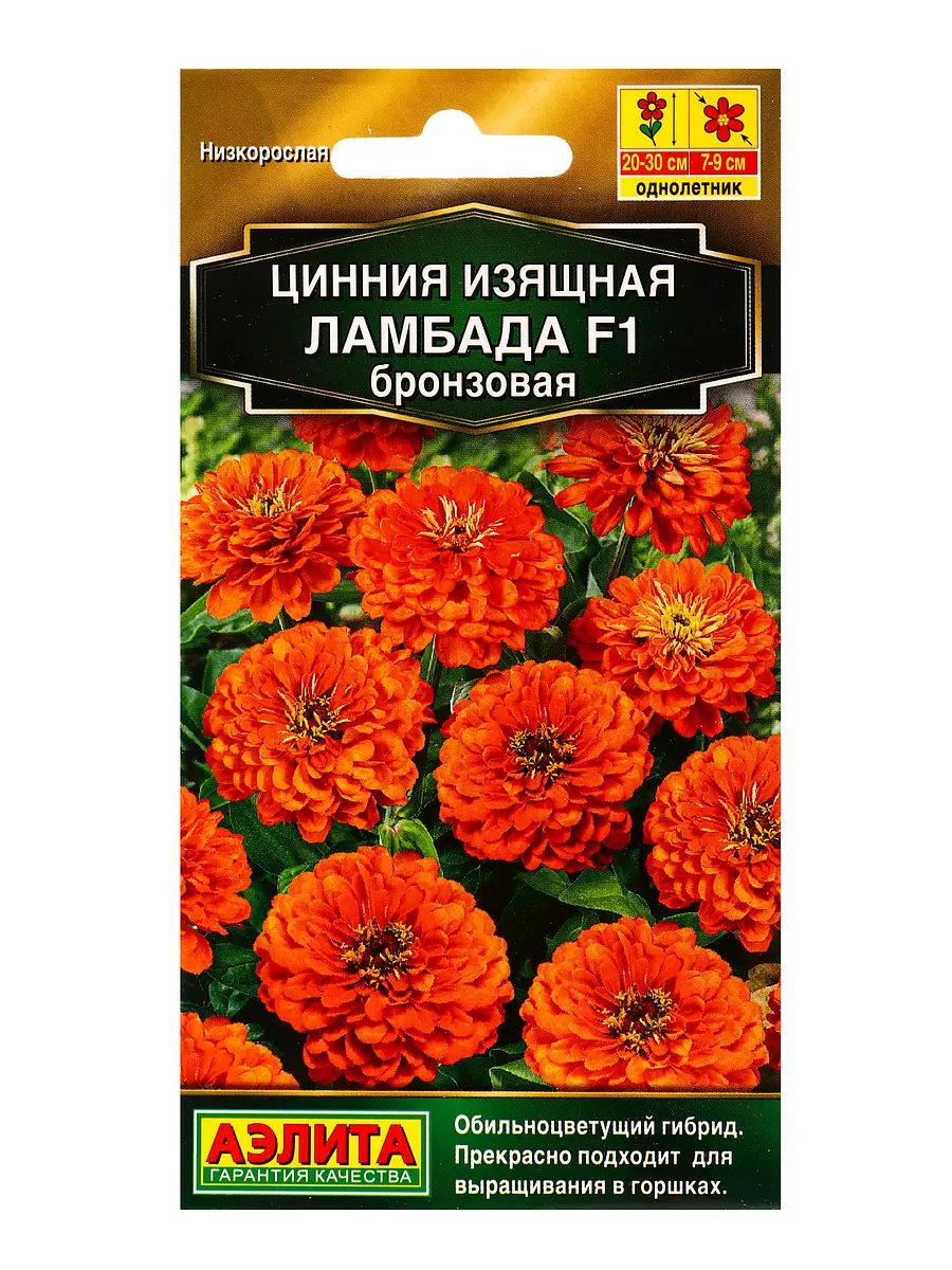 Семена цветов цинния ламбада f1 бронзовая золотая серия, ц/п,12 шт.
Семена цветов цинния ламбада f1 бронзовая золотая серия, ц/п,12 шт.