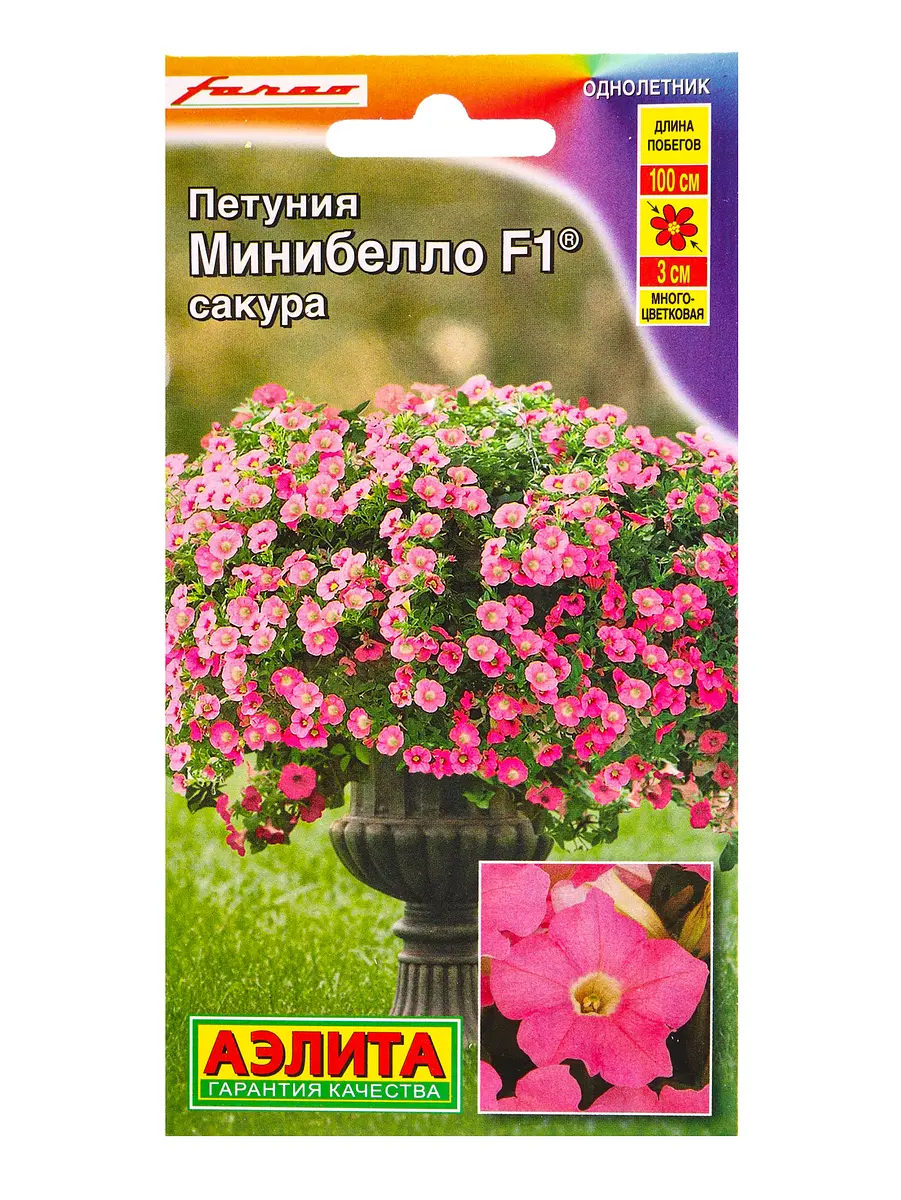Семена цветов петуния мини минибелло f1 сакура многоцветковая (драже) с. farao, ц/п,5 шт., Розовый
Семена цветов петуния мини минибелло f1 сакура многоцветковая (драже) с. farao, ц/п,5 шт., Розовый