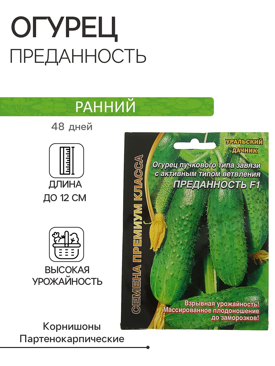 Семена огурец
Семена огурец