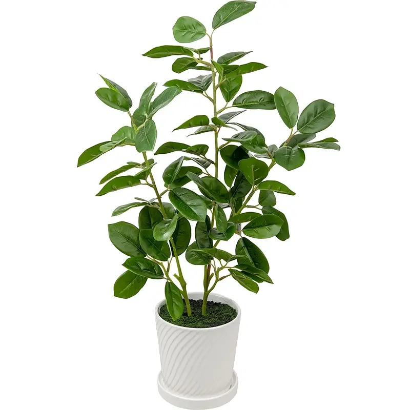 Искусственные растения, Зеленый
Искусственные растения, Зеленый