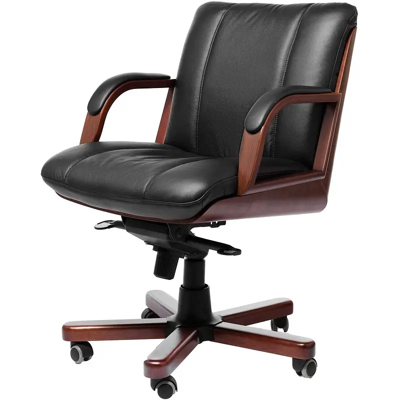 Кресло для руководителя Multi-Office Cannes B черное (натуральная кожа, металл), Черный
Кресло для руководителя Multi-Office Cannes B черное (натуральная кожа, металл), Черный