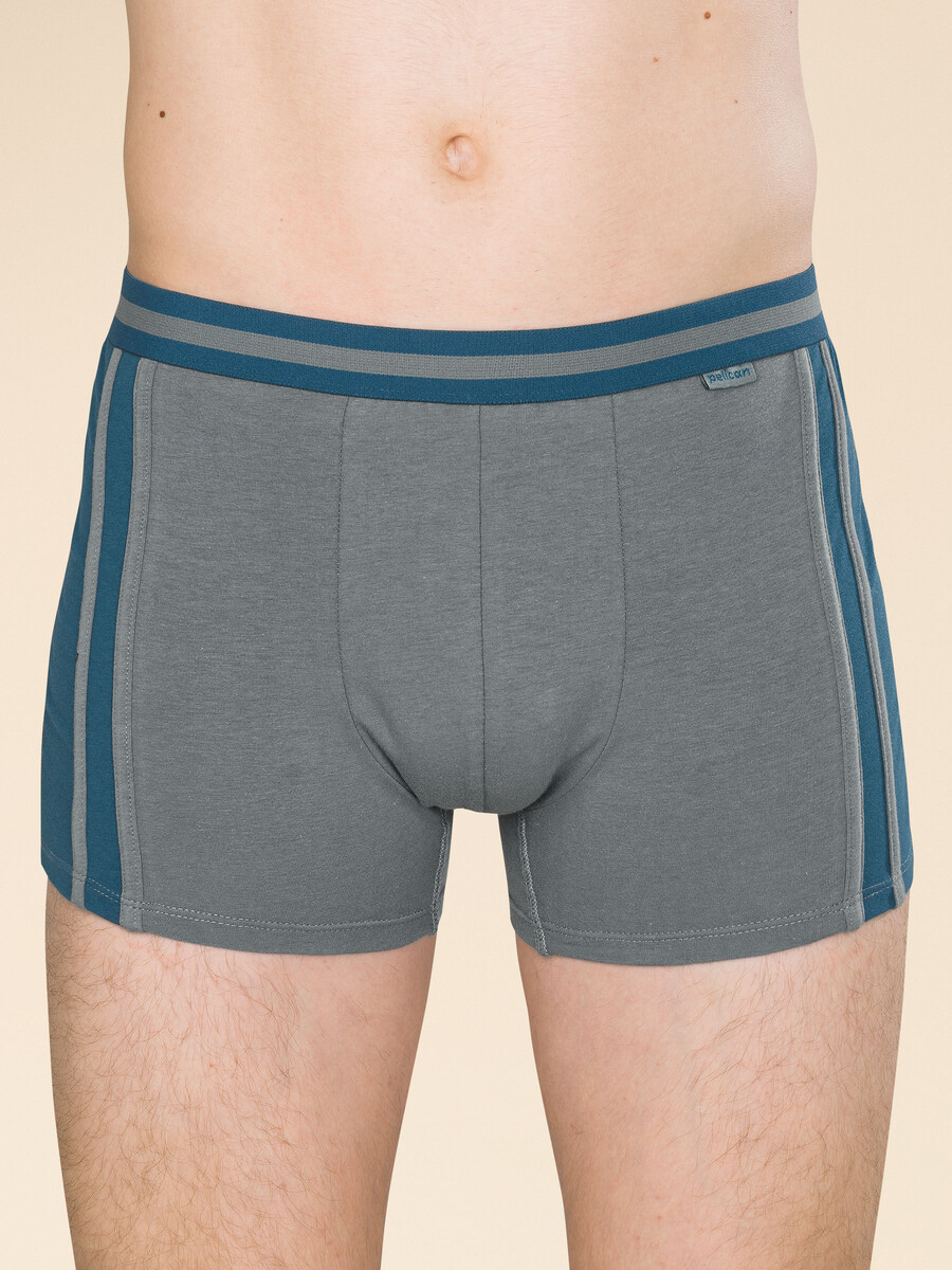 Трусы, Серый;темно-серый
Трусы, Серый;темно-серый