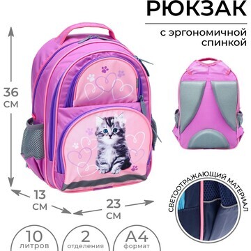 Рюкзак школьный, 36 х 23 х 13 см, эргоно