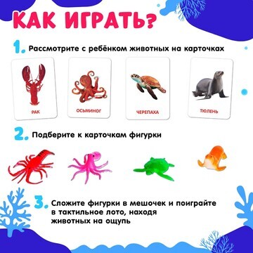 Развивающий набор с карточками