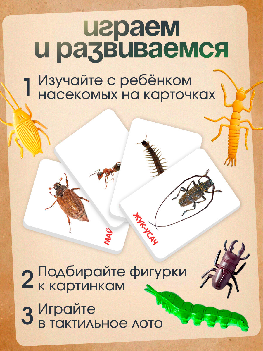 

Развивающий набор с карточками