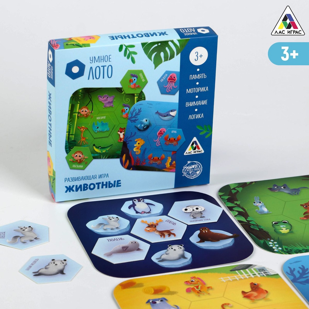 

Развивающая игра, Разноцветный