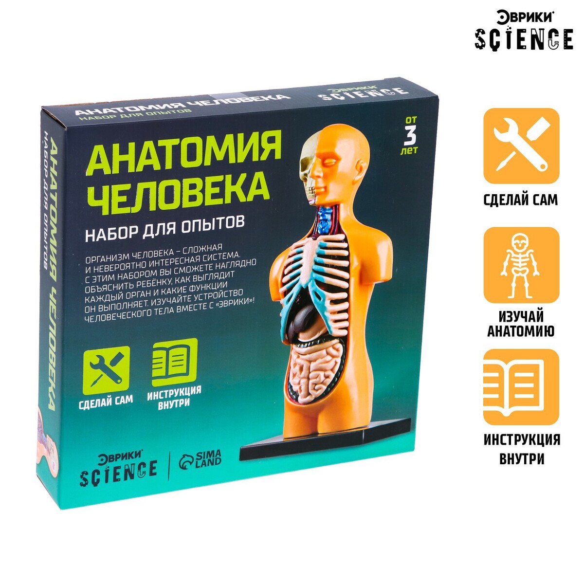 Набор для опытов набор препаратов анатомия и физиология 16 образцов для школы