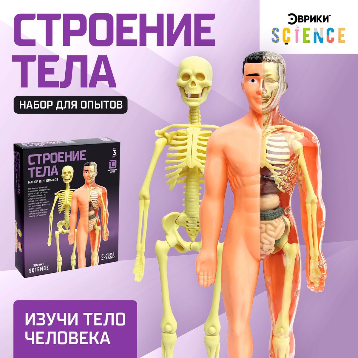 Набор для опытов набор препаратов анатомия и физиология 16 образцов для школы