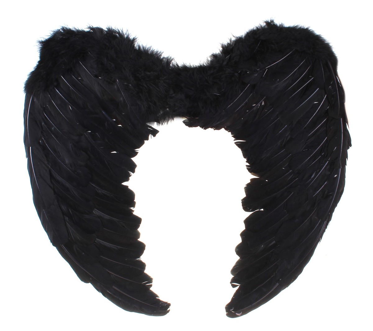 Крылья ангела, 55×40, черные крылья