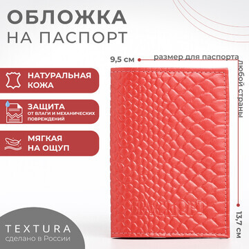 Обложка для паспорта textura, цвет чайно