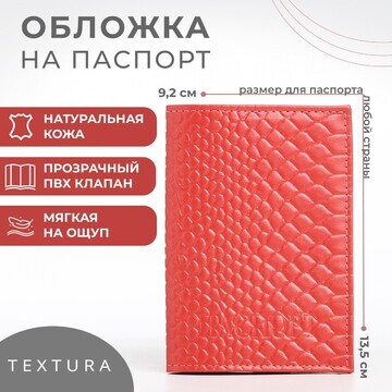 Обложка для паспорта textura, цвет чайно