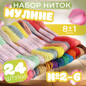 Набор ниток мулине, №2 - №6, 8 ± 1 м, 24