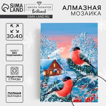 Новогодняя алмазная мозаика