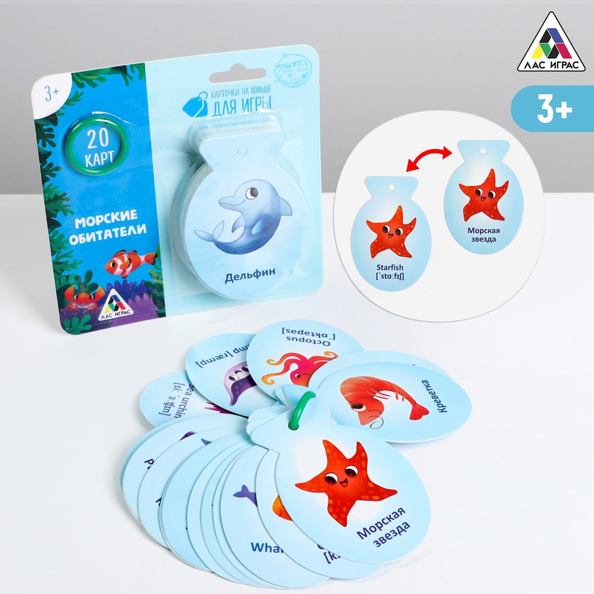Карточки на кольце для изучения английского языка clever развивающие карточки для малышей 100 первых слов