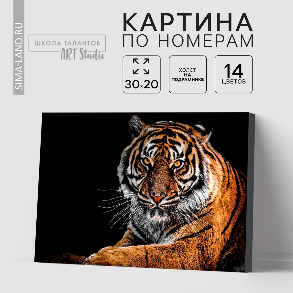 

Картина по номерам на холсте с подрамником