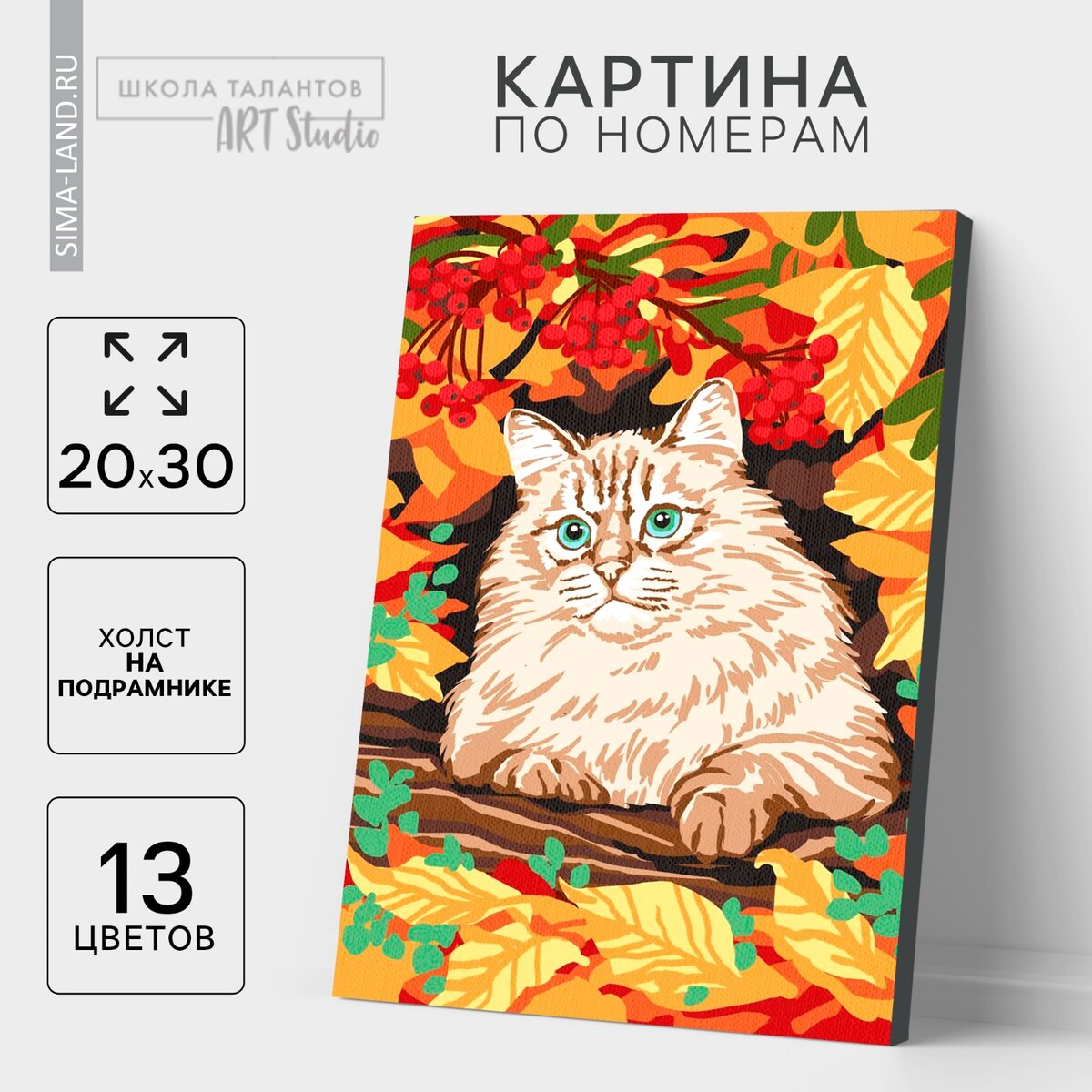 

Картина по номерам на холсте с подрамником