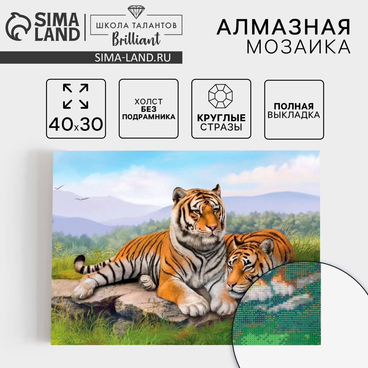 

Алмазная мозаика с полным заполнением на холсте, Разноцветный