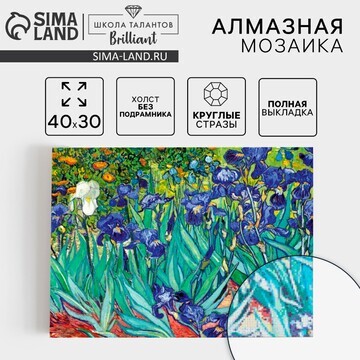 Алмазная мозаика с полным заполнением на