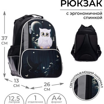 Рюкзак школьный, 37 х 26 х 13 см, эргоно