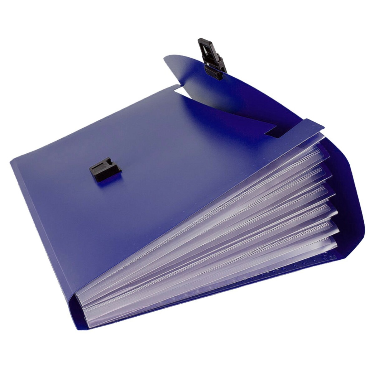 Папка-портфель а4 calligrata, 13 отделений, 700 мкм, до 300 листов, синяя фото