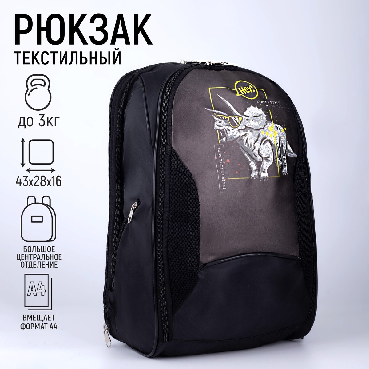

Рюкзак, 2 отдела на молниях, цвет чёрный,, Черный