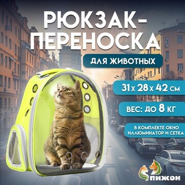 Рюкзак для переноски кошек и собак, проз