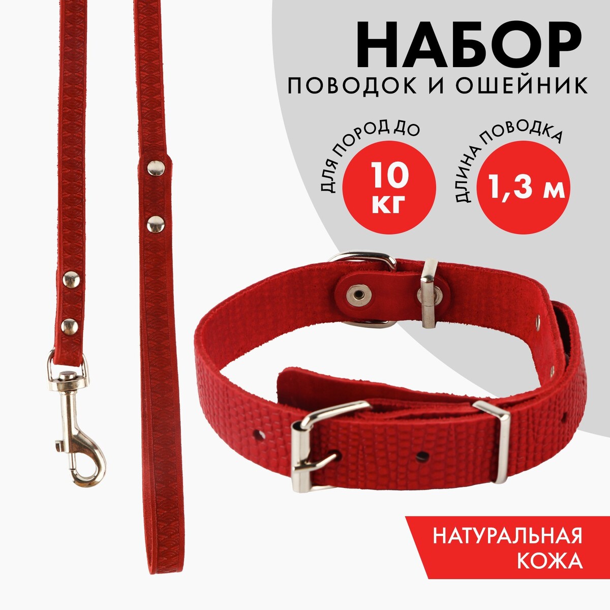 

Комплект ошейник (40-54х2.5 см) и поводок (130х1.2 см) рептилия, красный