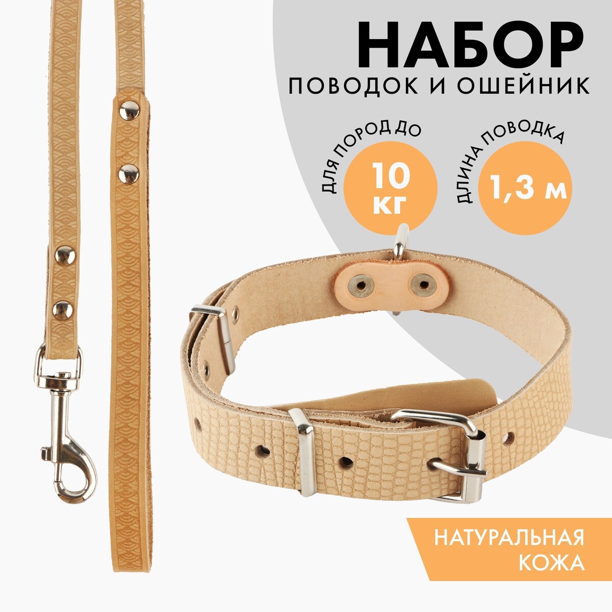 

Комплект ошейник (40-54х2.5 см) и поводок (130х1.2 см) рептилия, бежевый