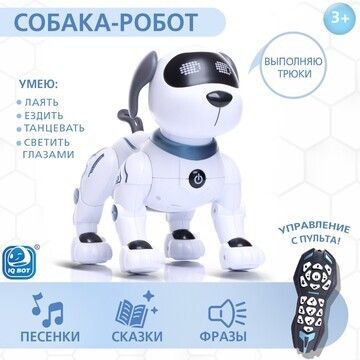 Робот-собака IQ BOT
